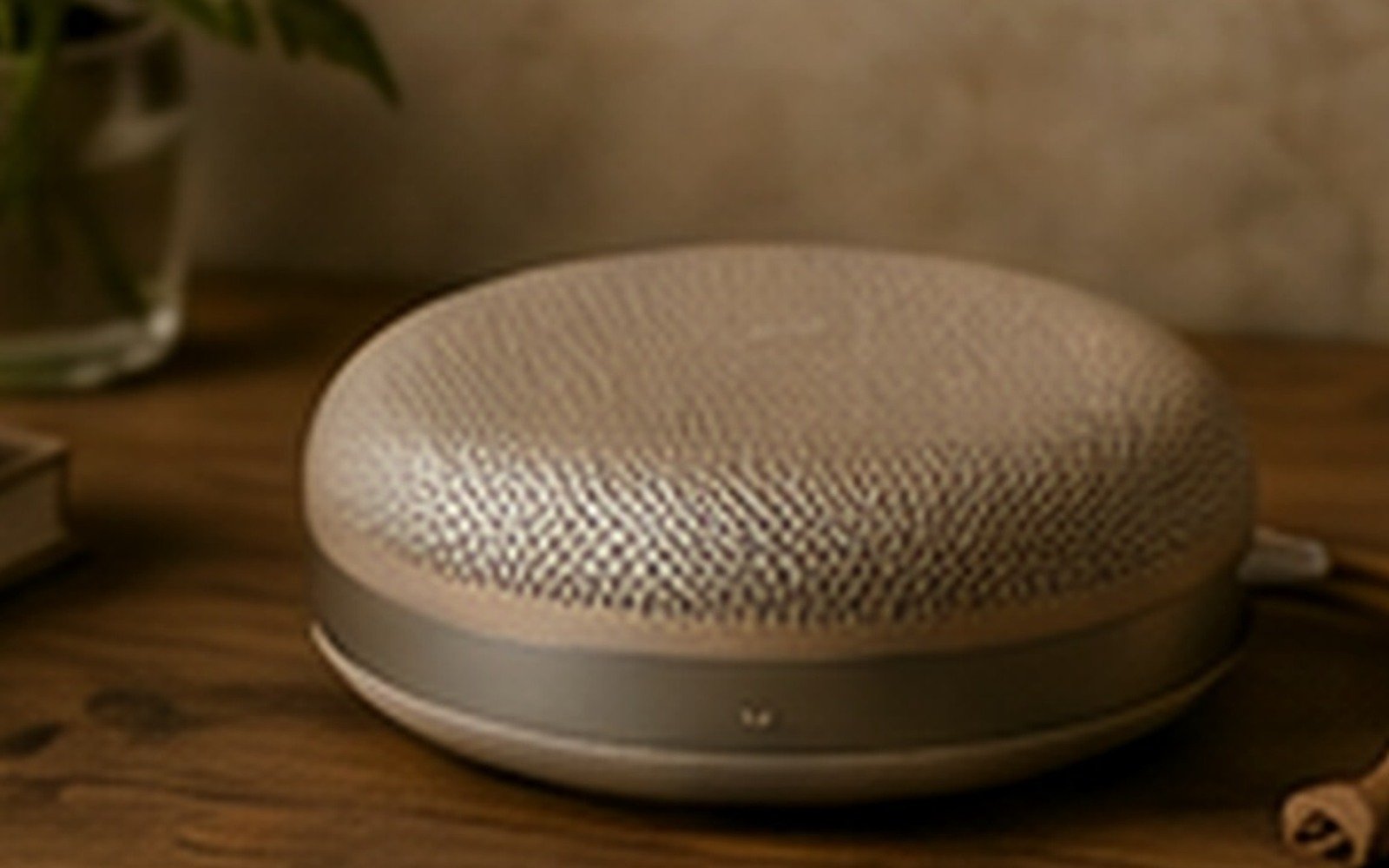 Bang & Olufsen Beosound A1 (2nd Gen) product detail