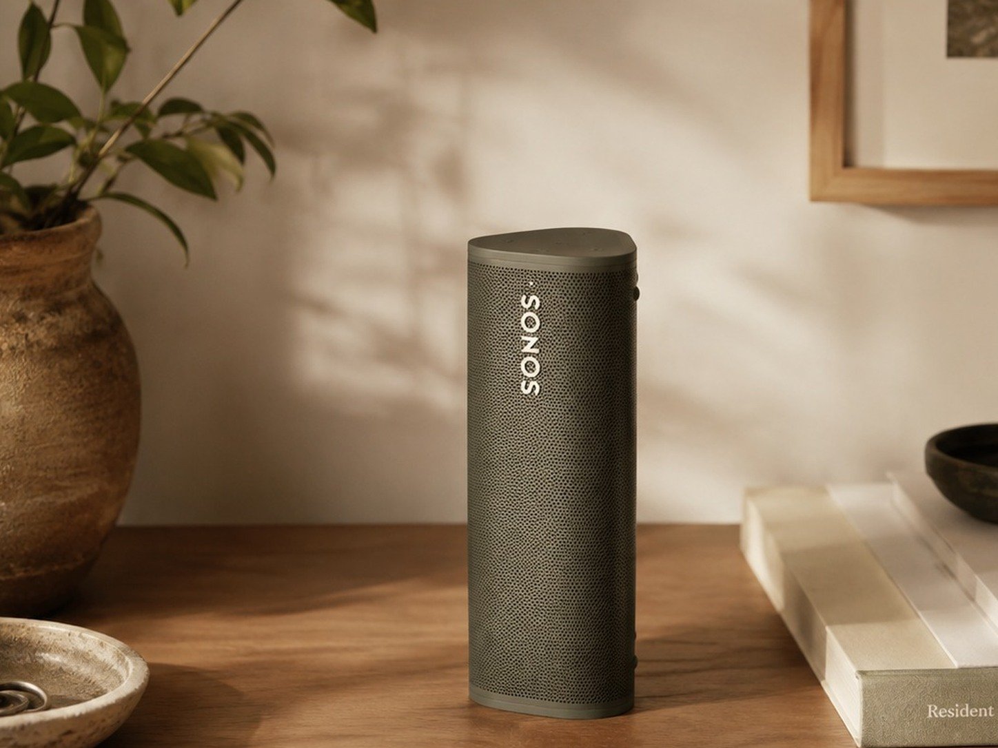 Sonos Roam 2 product detail